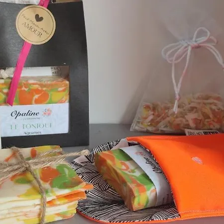 De L'opaline Гостевой дом